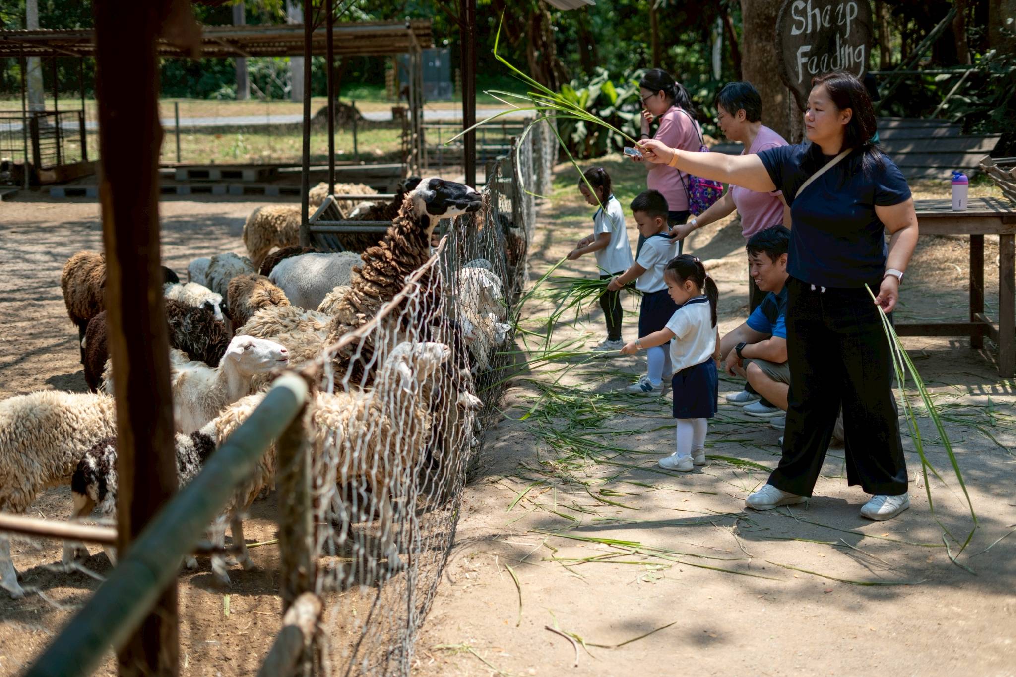 When they weren’t competing in games, families bonded by feeding the Fun Farm animals. 