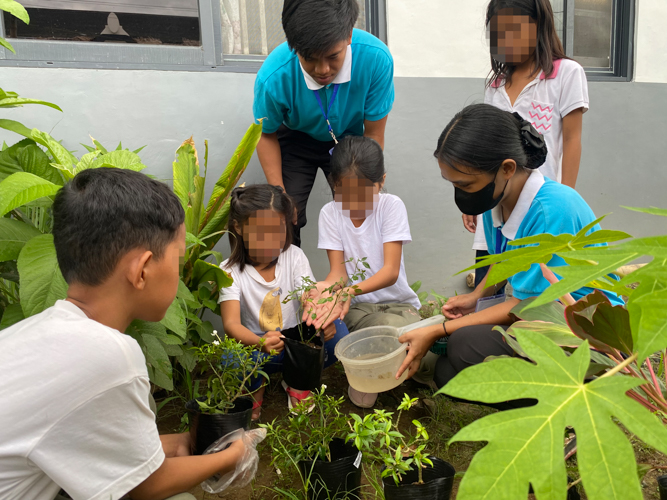 Each child brings their learnings home, practicing gardening using their household plants.