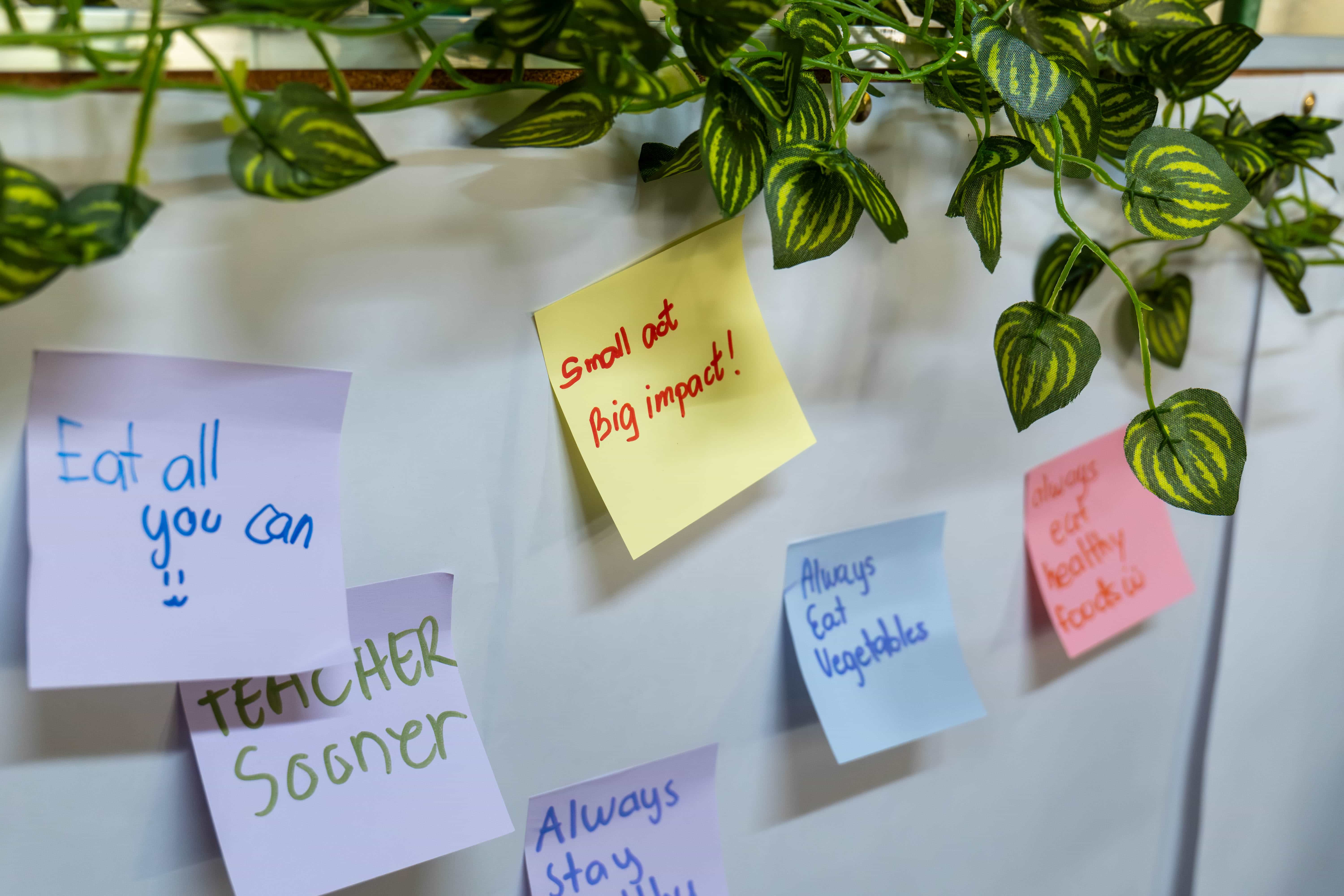 The Veg-Up! pledge board is filled with students’ personal commitments and ideas for making the Earth a better place.
