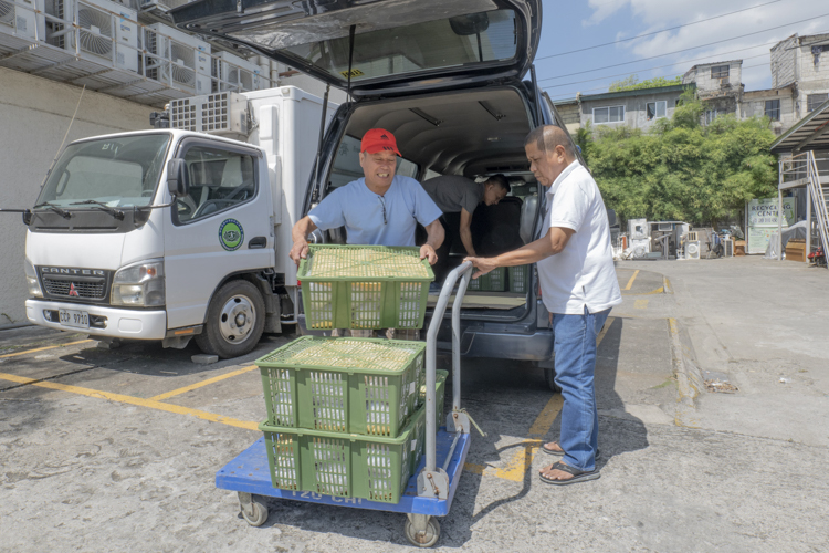 The Missionaries of Charity Brothers in Novaliches received six boxes of cauliflower totaling 72 kilos, and four bundles of choy sum weighing 20 kilos.