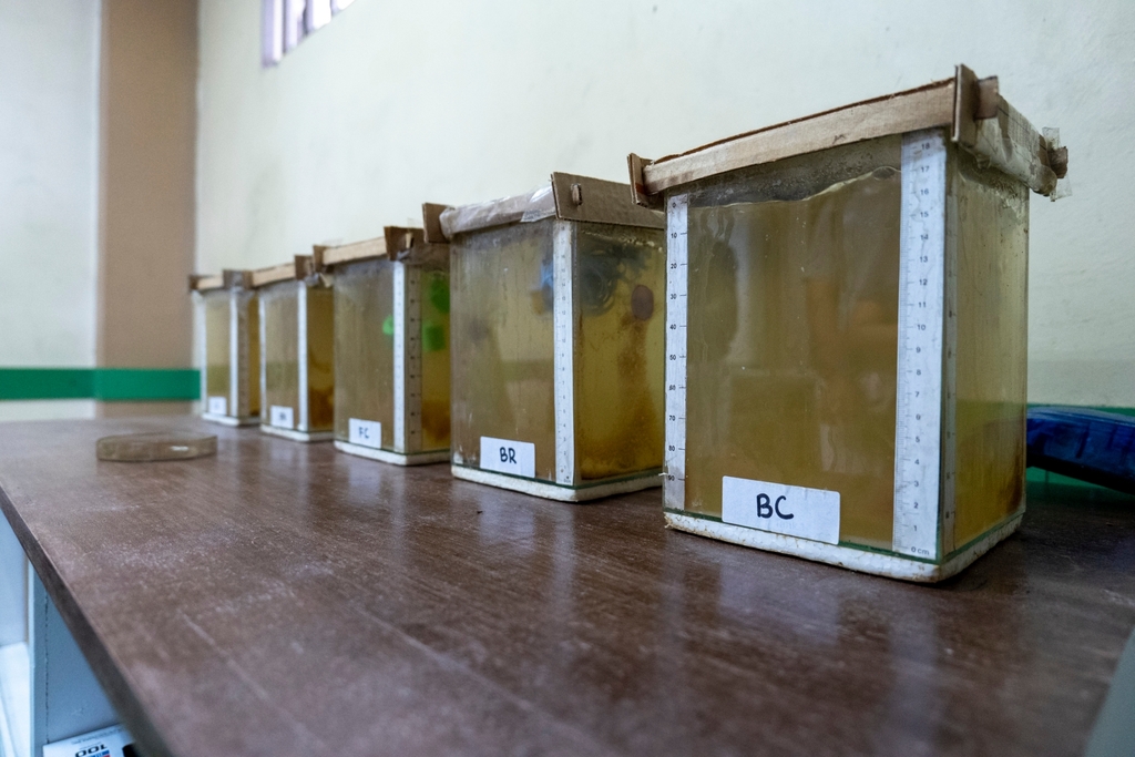 At DOST-PNRI’s Electron Beam Irradiation Facility (EBIF), chemical engineers Paolo Lazarte, Maegan Alcaraz, and Ace Angeles study the use of plastics in reclaiming used water, in the project titled “Irradiated Aquablocks Biofilm Carriers.”