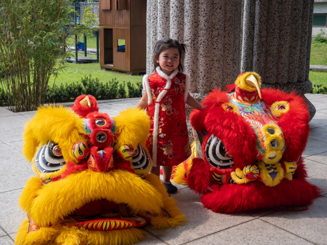 A preschooler caps the Chinese New Year celebration with a picture next to the lion dancers’ headdresses.