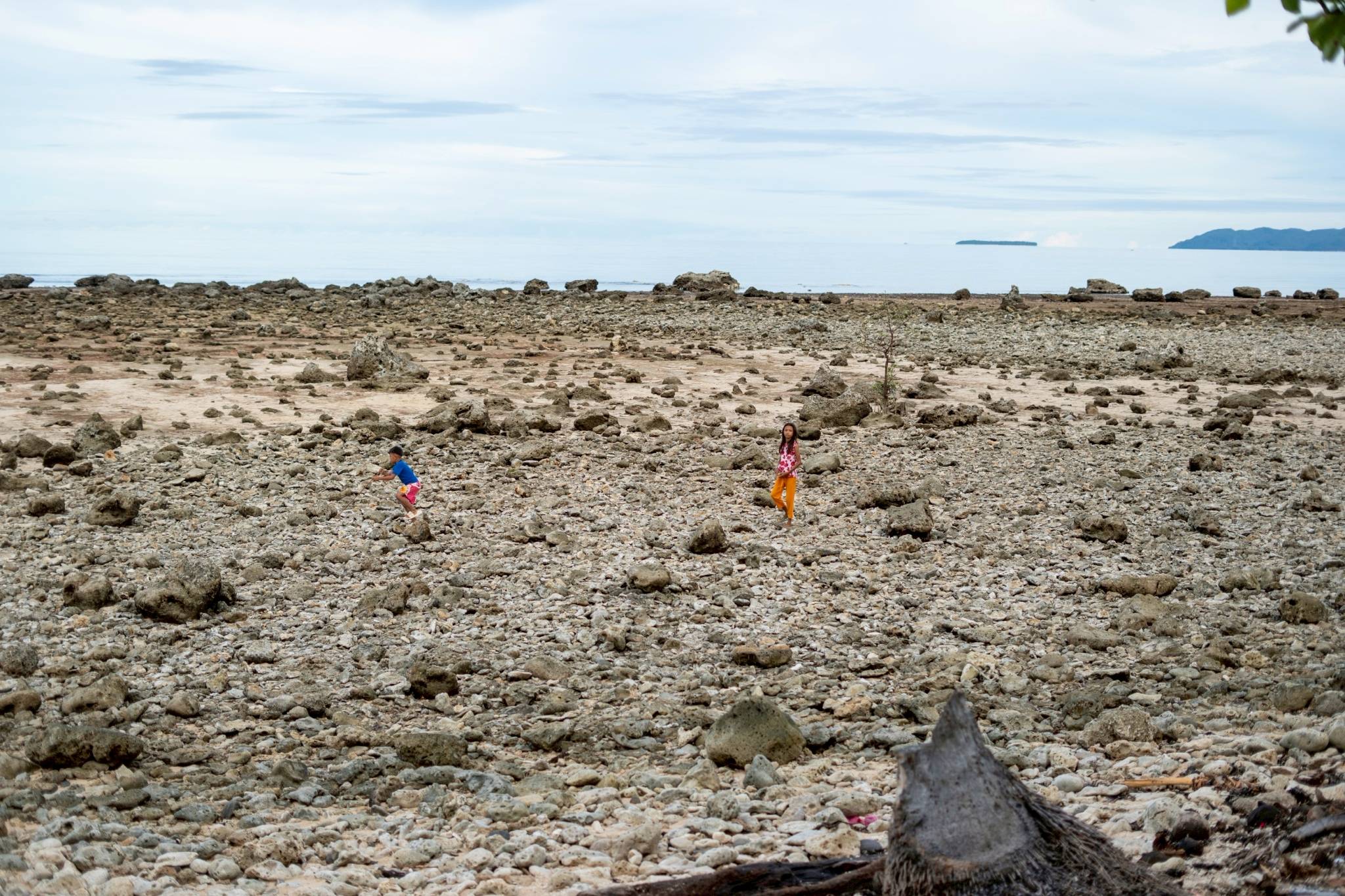 In Jose Abad Santos, children play along an exposed seabed whose waters had receded after the magnitude 7.8 earthquake. 