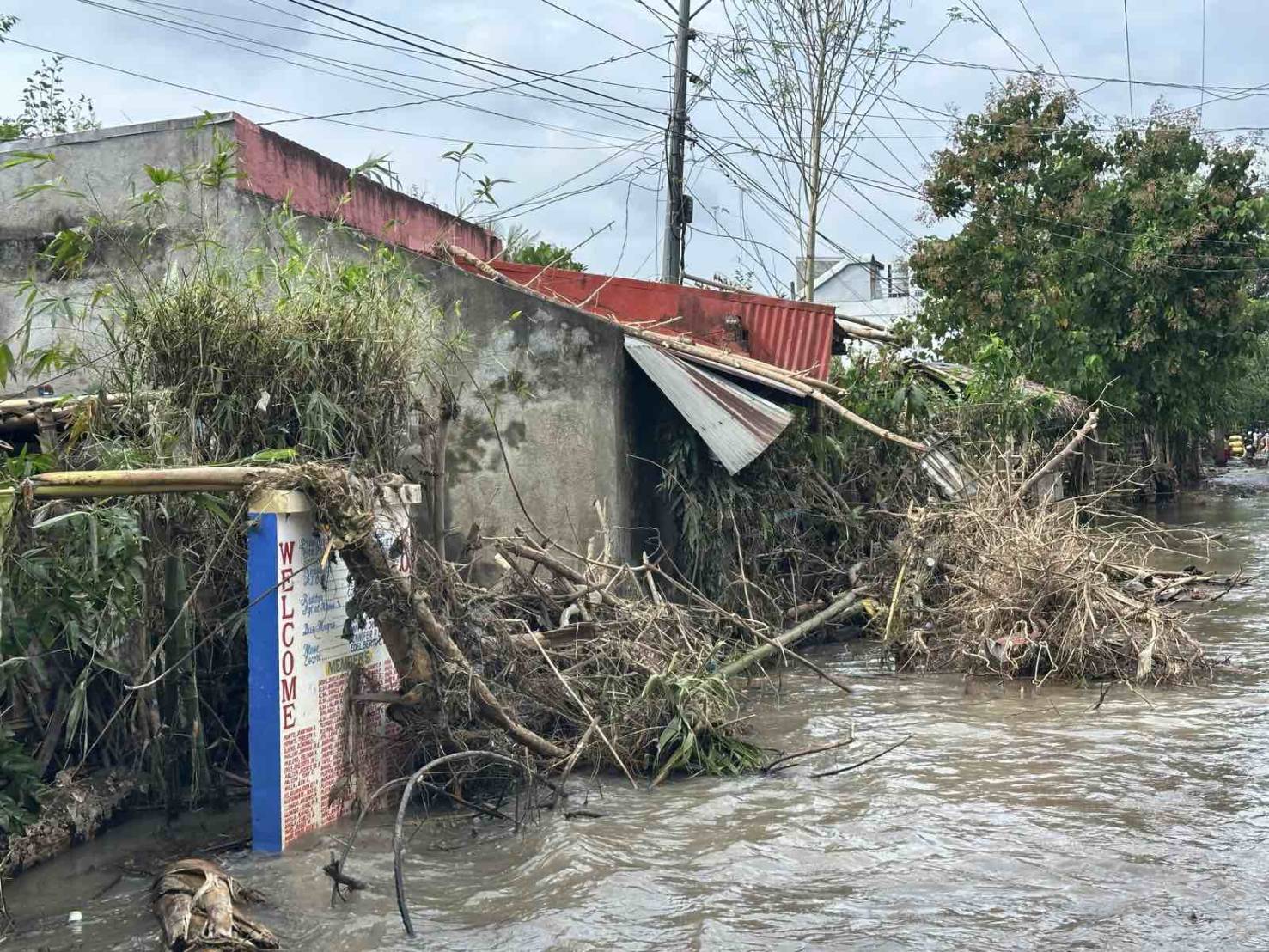 Many houses and trees were left damaged after the heavy rain and strong winds brought about by Typhoon Kristine (Trami).