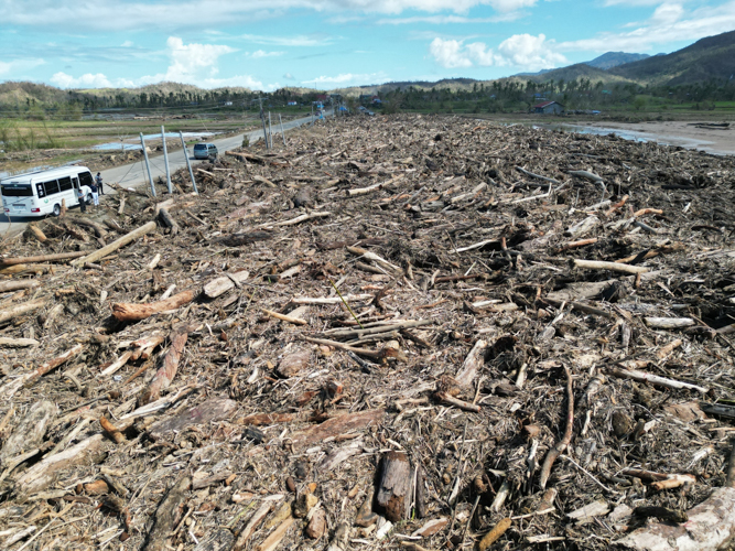 After these typhoons, trees from the mountainous areas of Cagayan were uprooted and swept away by harsh flooding.