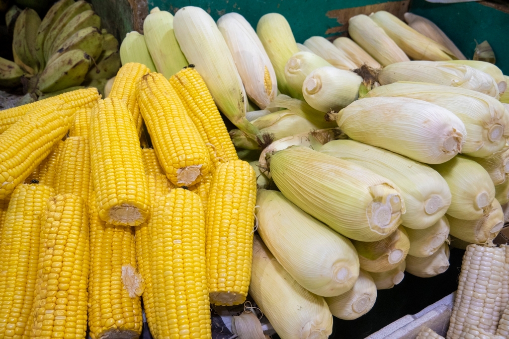 There’s no shortage of fresh fruits and vegetables at the Farmers Market. 