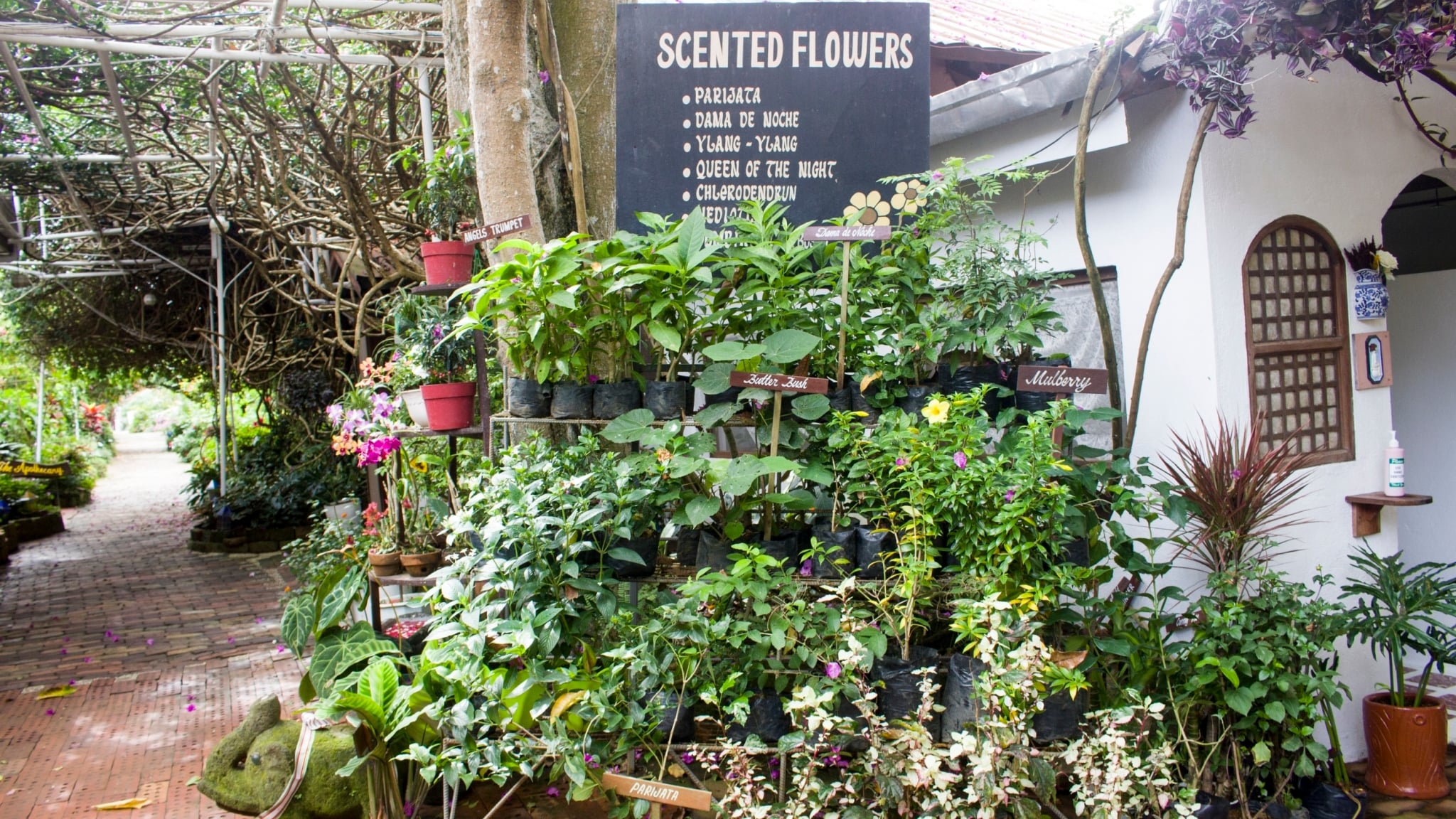 A display of scented flowers which guests can purchase before leaving Sonya’s Garden. 【Photo by Matt Serrano】