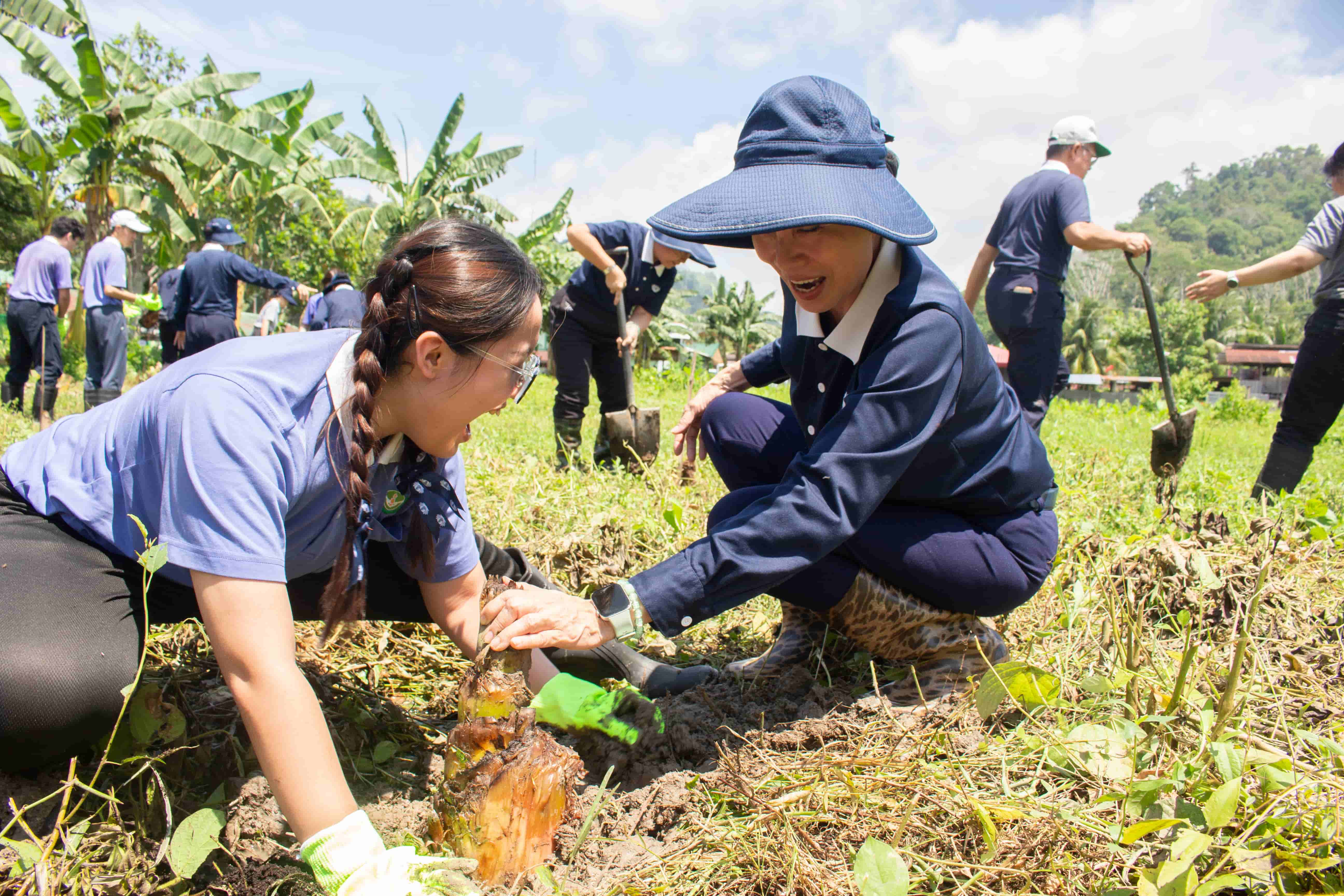 In Davao, Tzu Chi Youth plant banana seedling in a livelihood program initiated by Tzu Chi Davao volunteers for Indigenous farmers. 