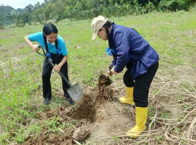 Tzu Chi Davao scholars participate in banana seedling planting / Photo courtesy of Tzu Chi Davao.