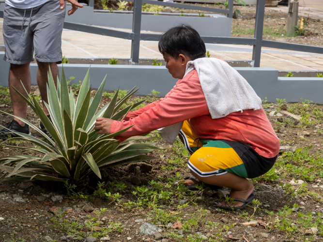 Decorative plants were carefully planted at the Great Love Multi-Function Hall.