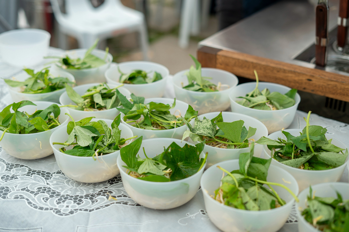 Warm, nourishing, and made with love: Freshly prepared bowls of vegetarian soup are lined up and ready for hungry bazaar-goers.