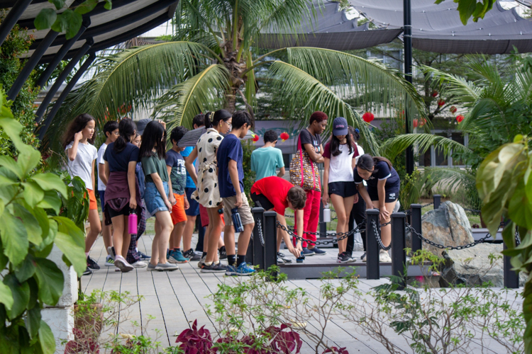 ISM students admire the lotus pond during their tour at the BTCC. 【Photo by Marella Saldonido】
