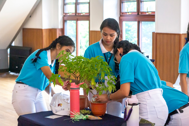 Activities team members not only help out in planning the games and tasks, but they also work on preparing the decorative plants for the camp.