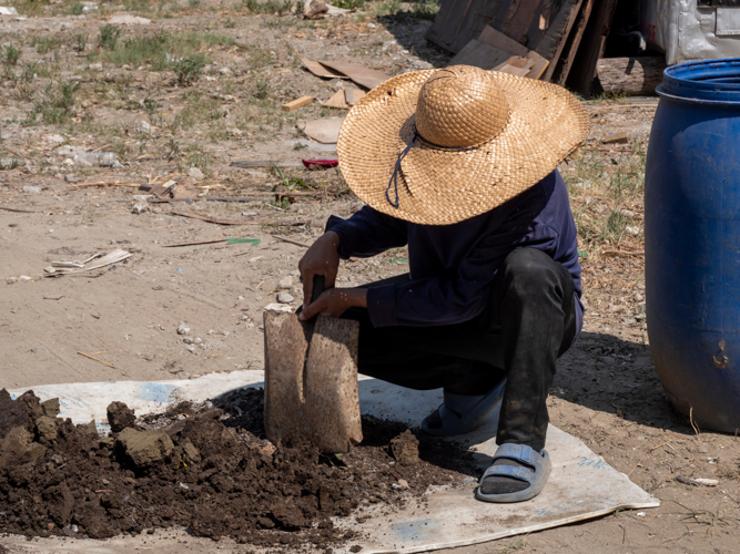 The gardener carefully lays out the composting soil under the sun. 【Photo by Matt Serrano】