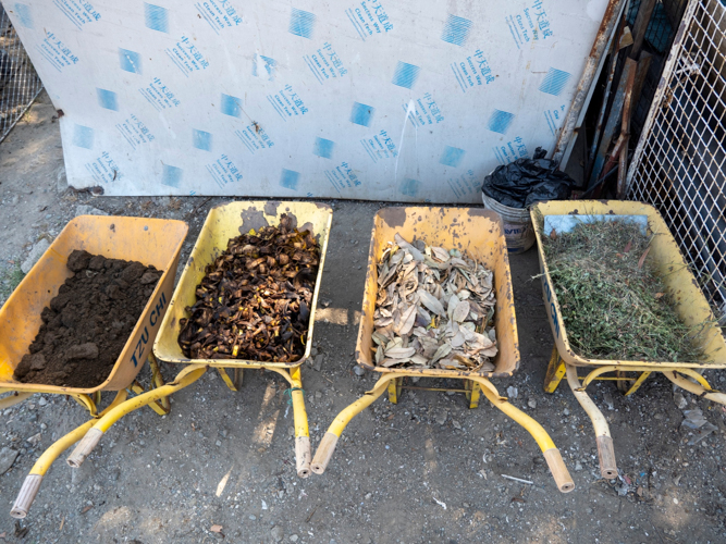 Banana peels, leaves, and other plant cuttings were collected for this batch of composting, along with the garden soil. 【Photo by Matt Serrano】