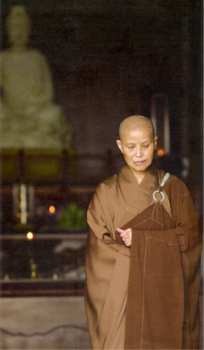 A young Dharma Master Cheng Yen 