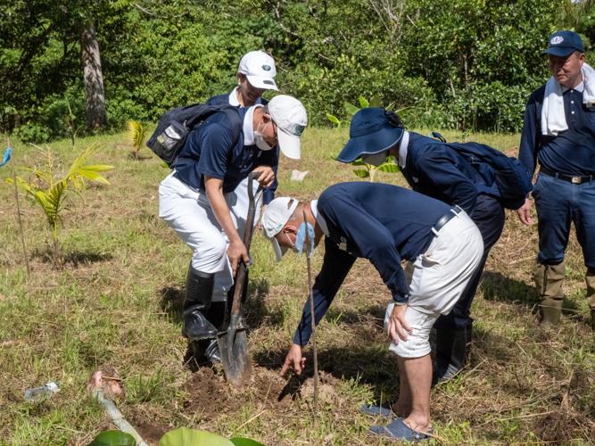 Volunteers plant additional cardava banana trees. 【Photo by Matt Serrano】